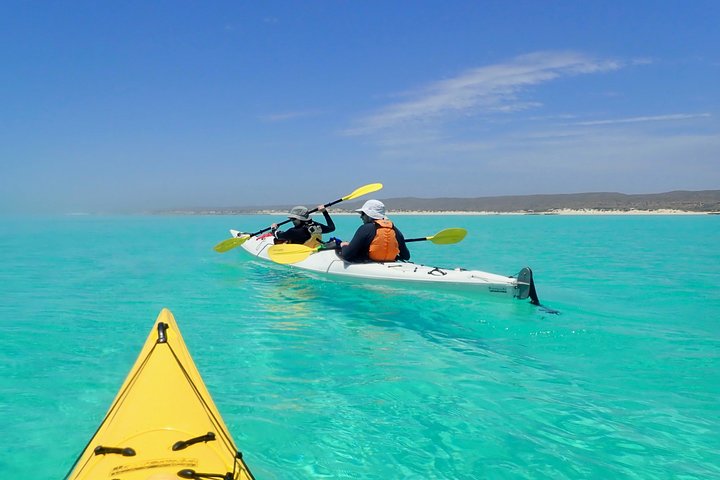 Lagoon Explorer - Ningaloo Reef Full-Day Kayaking and Snorkeling Adventure Exmouth